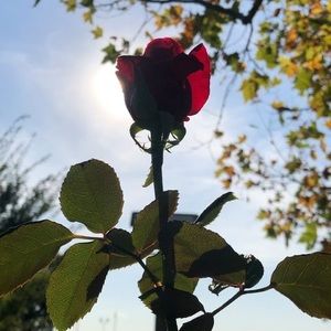 Meet your Posher, Kaity